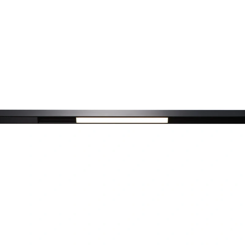 ART-MAG25-LINE.jpg